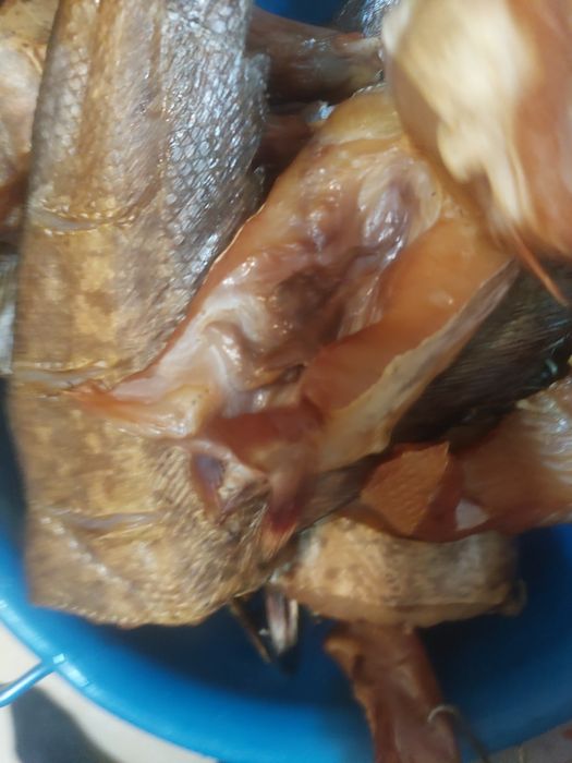 Свежо копчёный сом