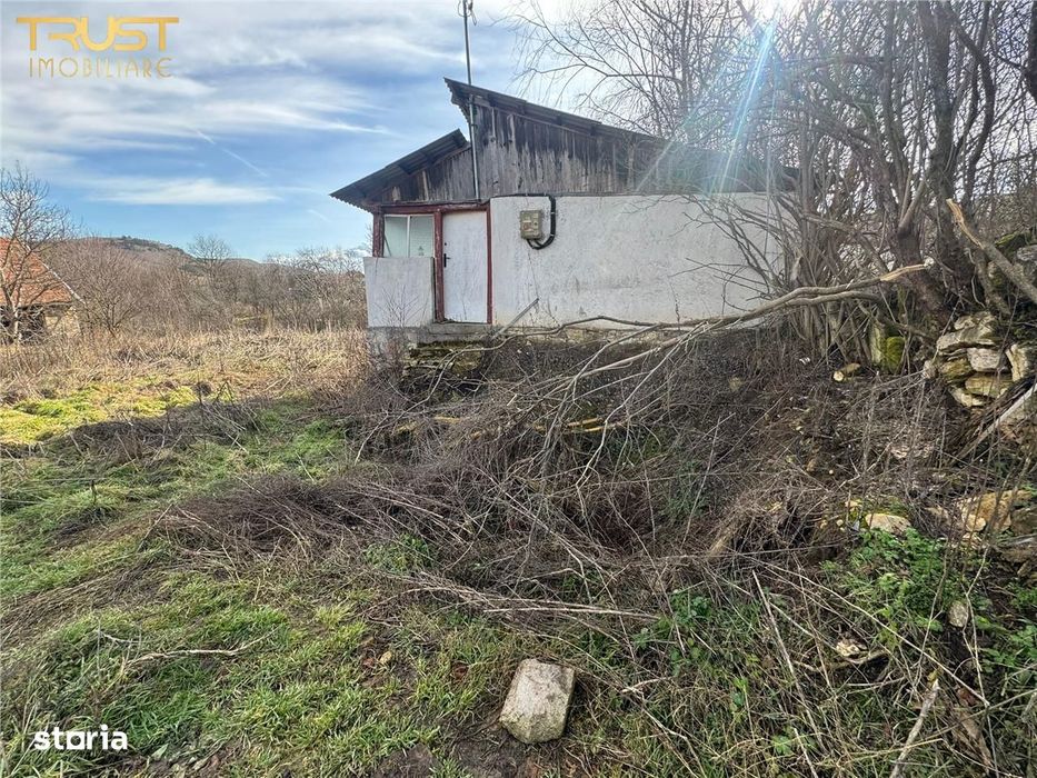 Teren intravilan I 1000 MP I Nadaselu