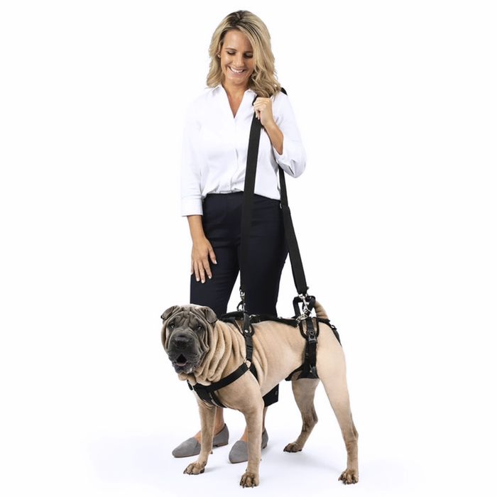 Ham de ridicare caine PetSafe, față și spate