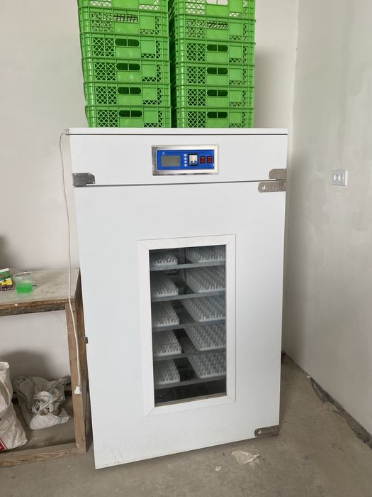 inkubator 1000 talik yangi