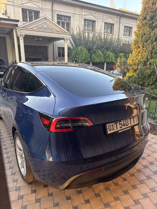 Tesla Model Y Performance 2022
