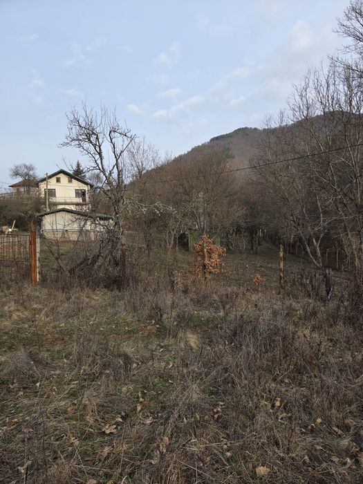 Почистване на запустели парцели и имоти