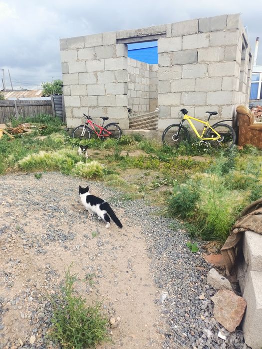 Дом рассрочка Шанхай