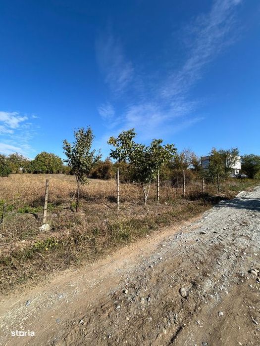 Teren intravilan de vanzare, 2600 mp, zona Carcea