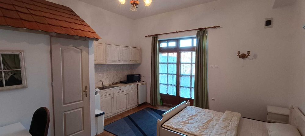 Inchiriez central garsoniera camera cu terasa in vila str Iorga