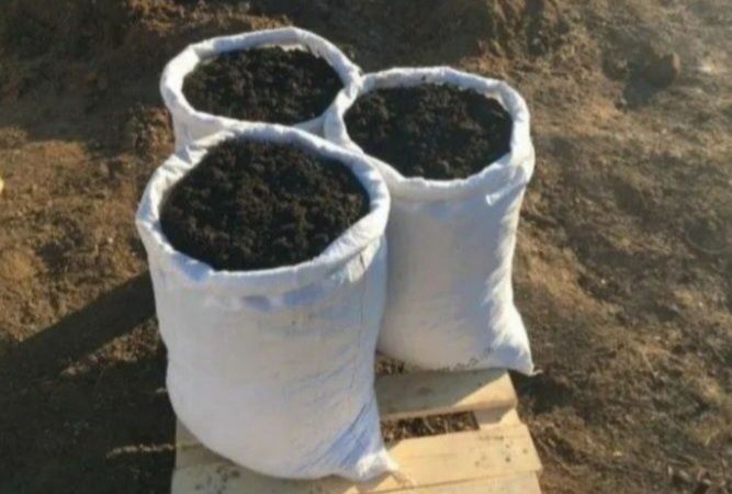 Көң перегной удобрения қи кон