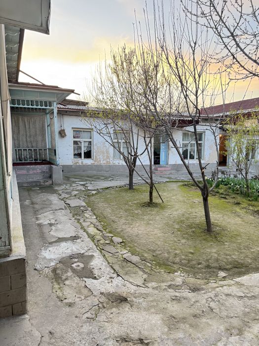 Toshkent viloyati Toshkent tumani Koʻk-terakda UY SOTILADI!!!