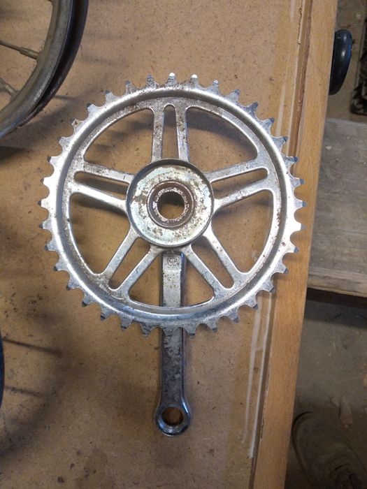 Pegas mini pegas soim