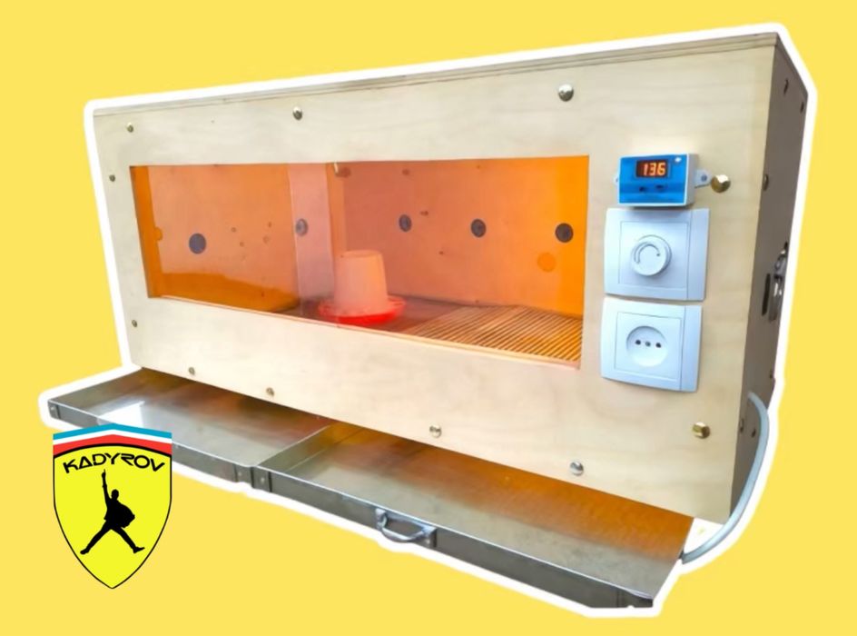 Брудер для цыплят — идеальные условия с первого дня