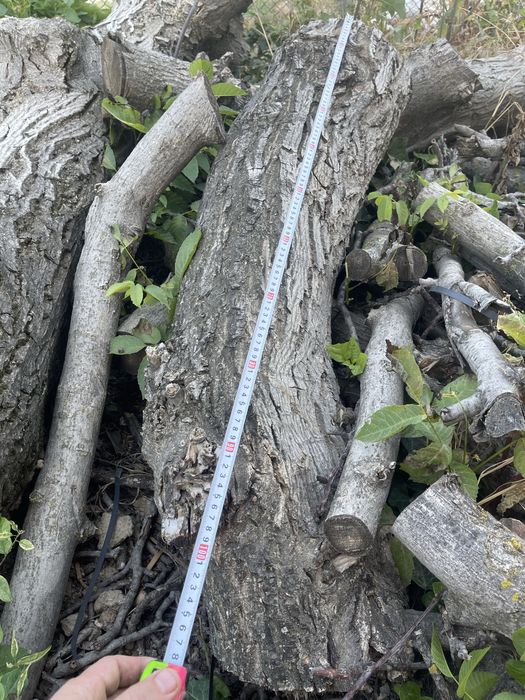 Орех-дърво на трупи