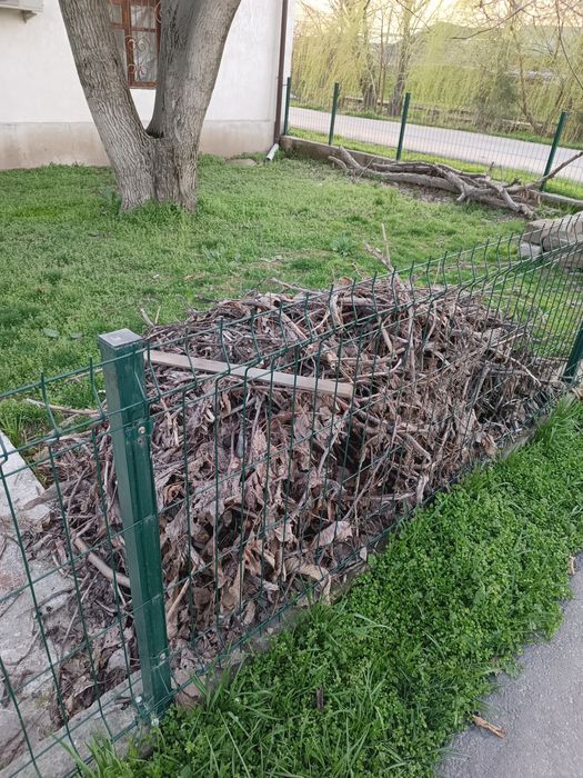Дрова отдам даром