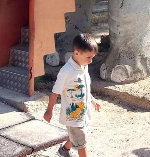 Camasa baieti  Lion King / Safary