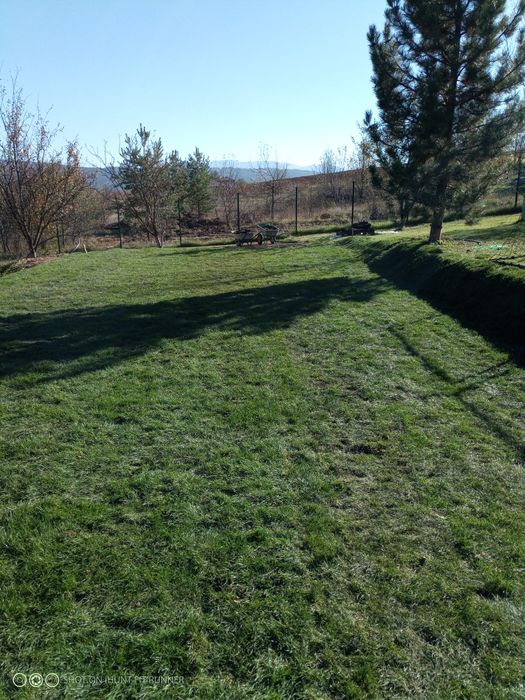 Поддръжка на зелени площи