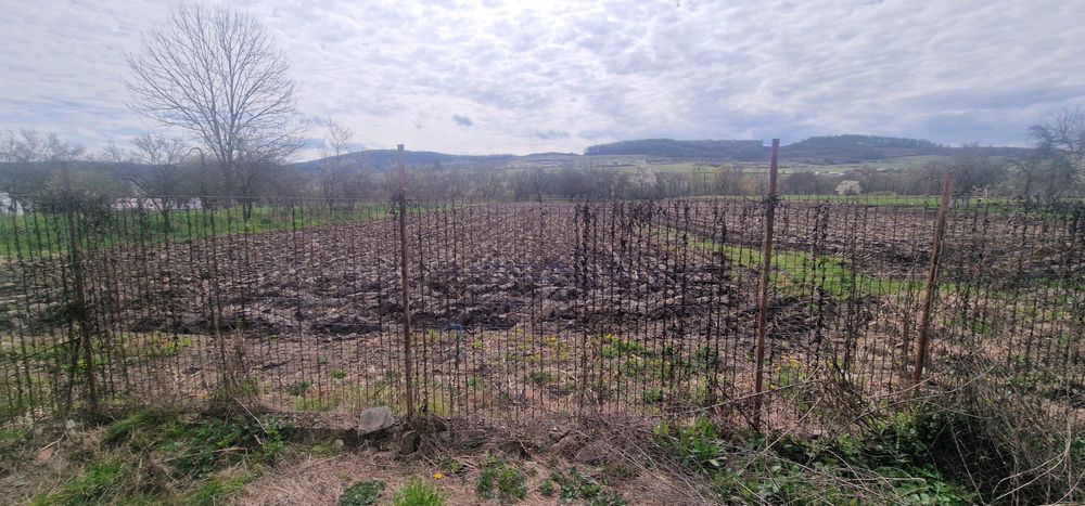 Casa de vanzare in Almasu, Salaj + teren 3600mp + 4 ha teren extravilan