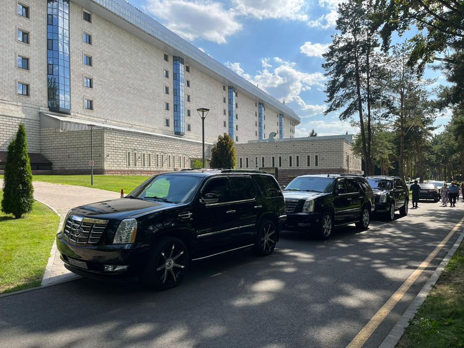 Выписка из роддома на лимузине