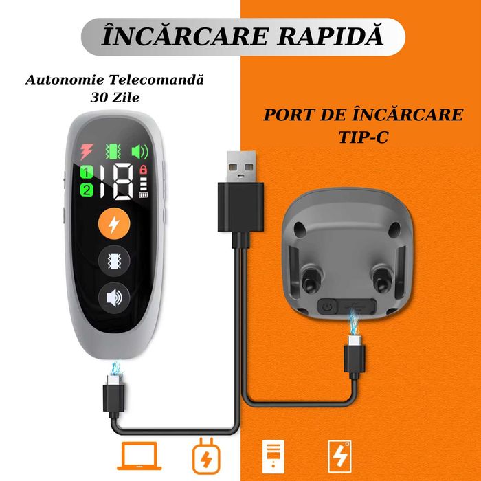 Zgarda pentru Dresaj Caini cu Telecomanda