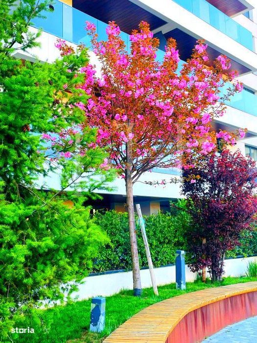 NUSCO CITY | 3 Camere Premium | Mobilat & Utilat Complet | Vedere Grad
