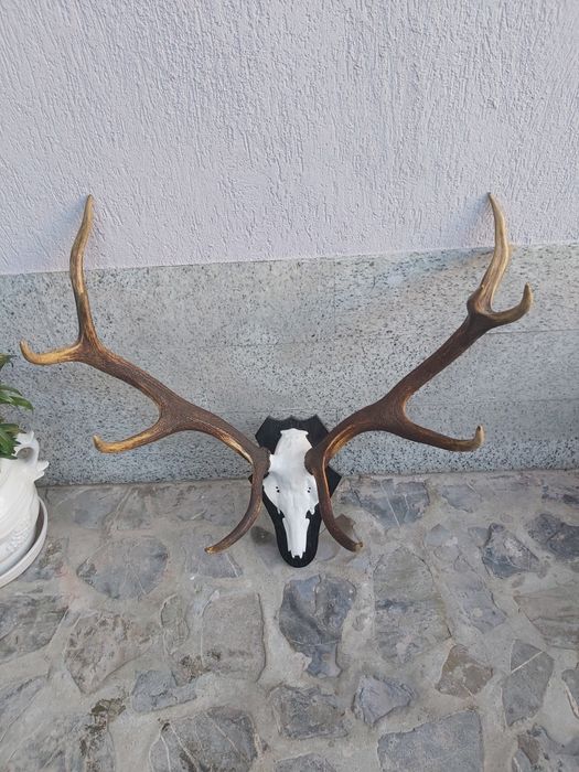 Vand obiecte vechi, de antichitate