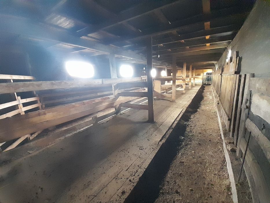 Дом 16 соток пригороде мини ферма