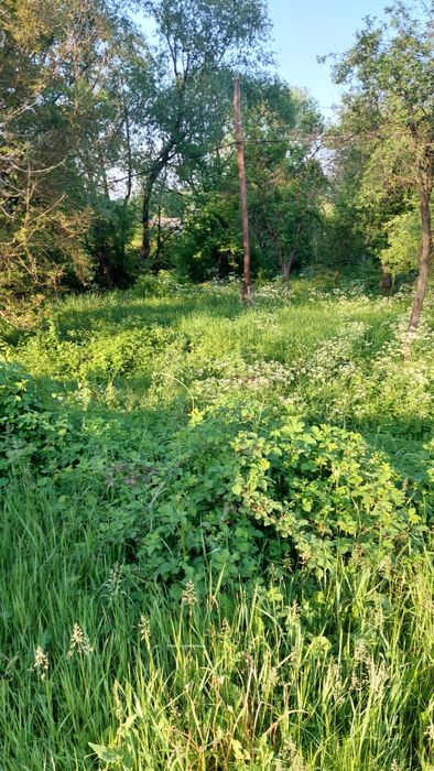 Vand urgent! Teren intravilan centru Comuna Cernesti