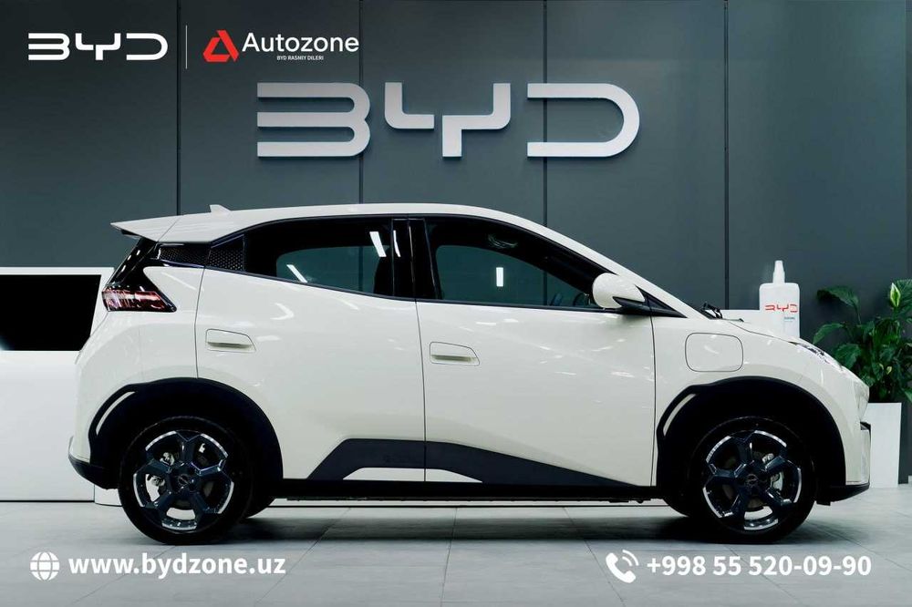 BYD Seagull 405km Flying