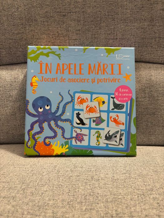 Set de 2 jocuri educative Usborne in limba romana