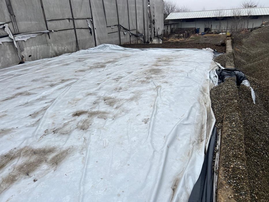 Vand siloz porumb 2025