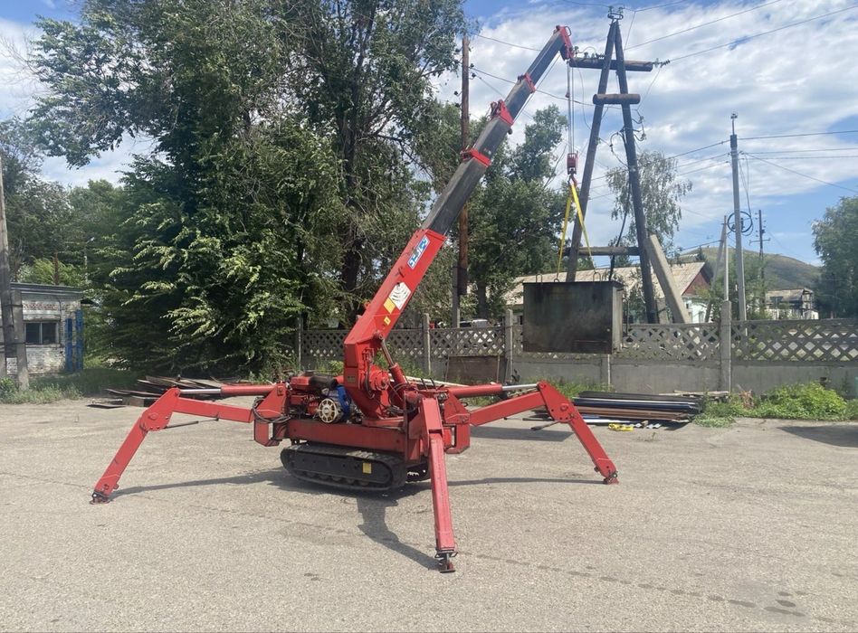 Tadano TM-25Z Миникран кран паук