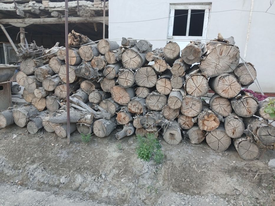 O'tinlar sotiladi Eski shahar Navoiy viloyatida Kelis