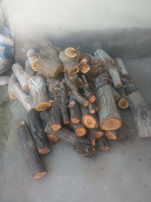 Тут утин ва урик утин