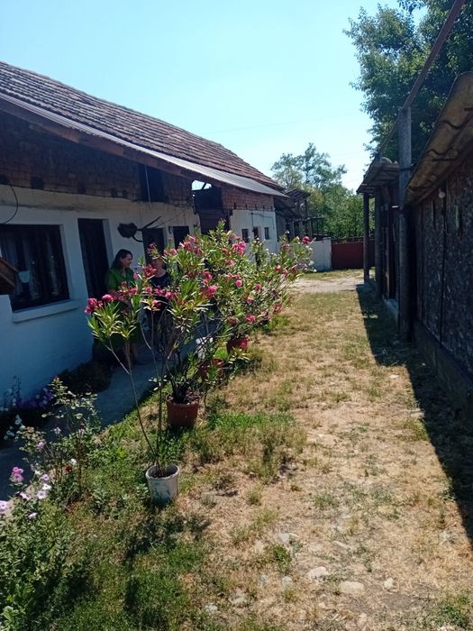 Casă 70 mp + teren 800 mp | Turcinești | Deschidere la 2 străzi