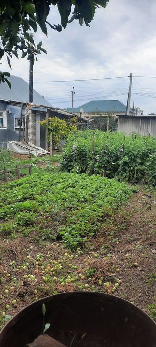 Продам дом район парк Кирова