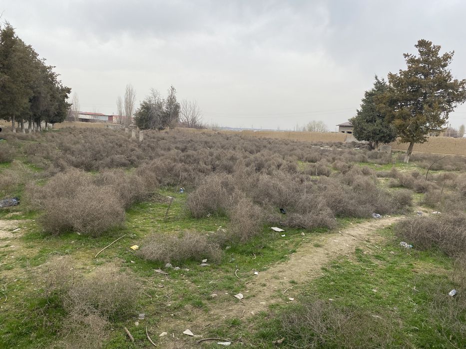 Нотурар жой сотилади ёки узок муддатга арендага берилади