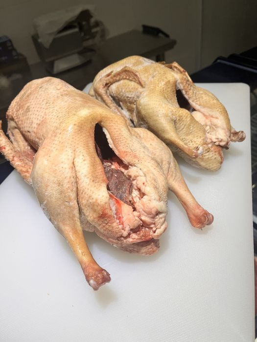 Домашние гуси,утки