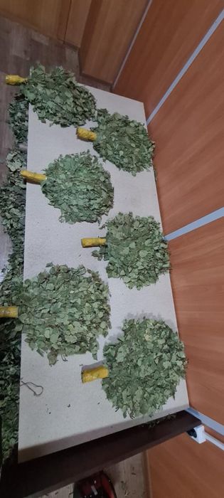Веники для бани из дуба березы елки