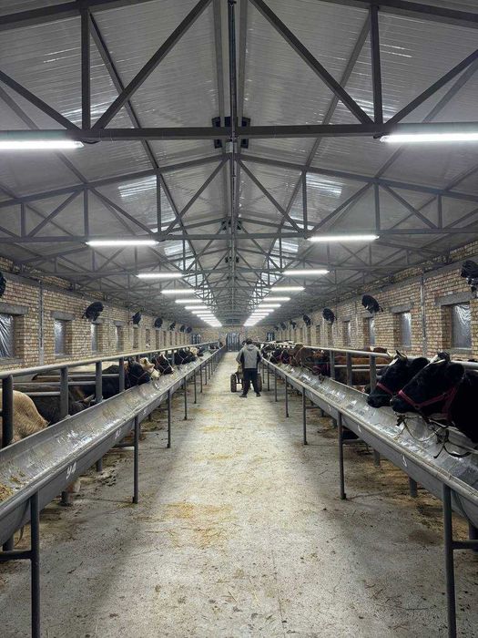 Продается Ферма действующая в Районе Босув SH83