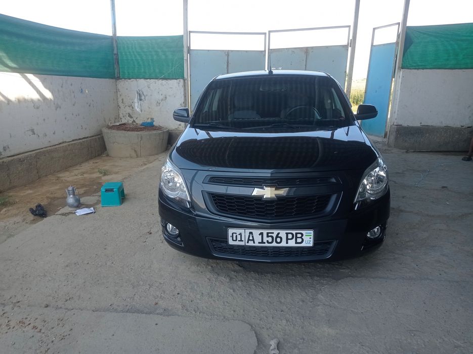 Cobilt 2019 totiladi