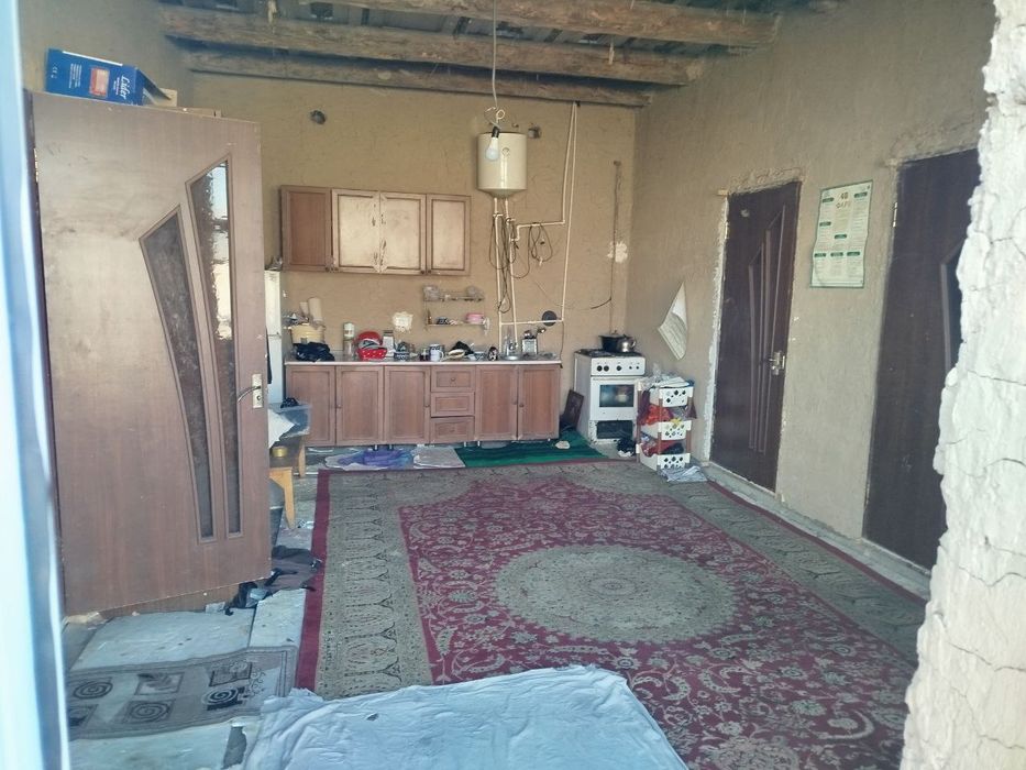 Kotta tirasaga  juda yaqin