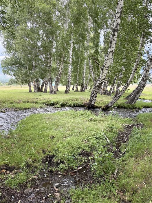 10 га жер учаскесі демалыс орыны