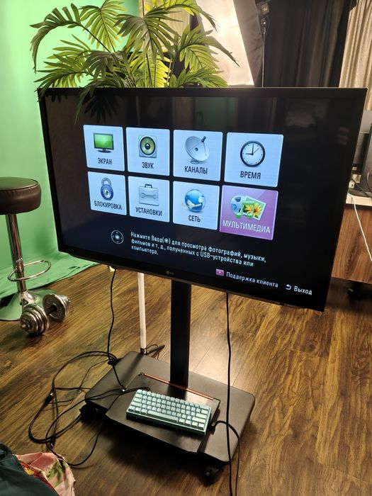 Телевизор с мобильной стойкой