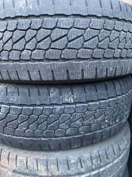 Шиналар бар бу сешка