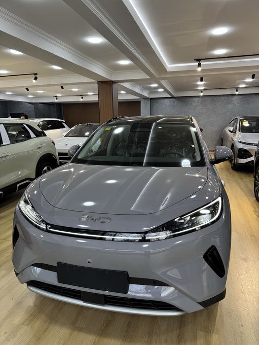 Byd sea lion 05 520km