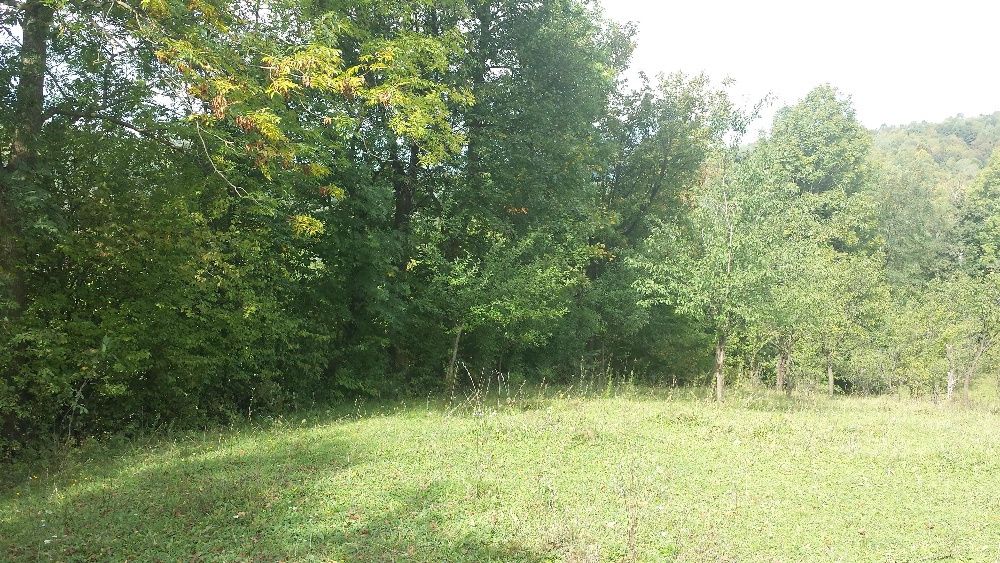 Teren intravilan Provita de jos (langa Breaza)- PRAHOVA    REDUCERE!!!