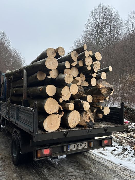 Lemn de foc FAG 3,5 CUB