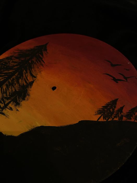 Изрисувани грамофонни плочи