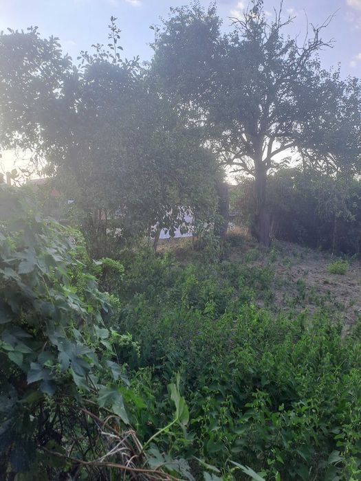 Teren Intravilan - GIOSENI, Bacau