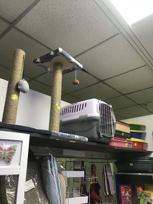 Для котят домик когтеточка