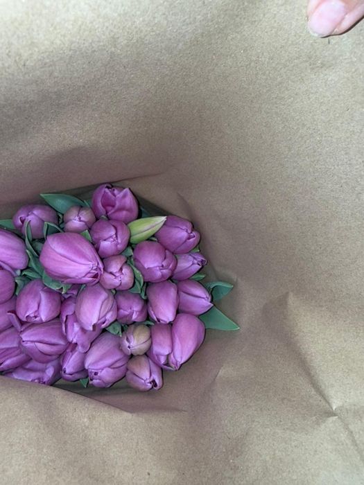 Тюльпаны по 200тг большой ассортимент