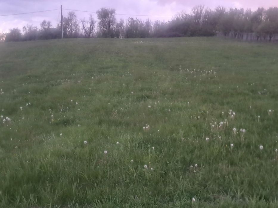 Vând Terenuri Intravilan și Extravilan Stănița/Jud.Neamț