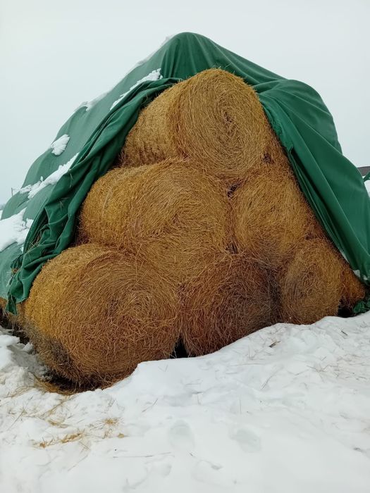Baloti de paie de grau